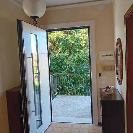 Apartment 19 *